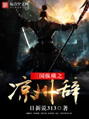 《三国纵横之凉州辞》封面