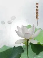 《周生如故番外》封面
