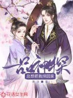 《一品神探总想把我拐回家》小说封面
