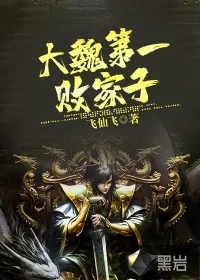 《大魏第一败家子》封面