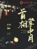 《首相掌中月》封面