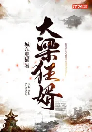 《大梁狂婿》封面