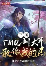《三国：TMD刘大耳，敢偷我的马！》封面