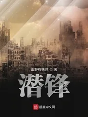 《潜锋》封面