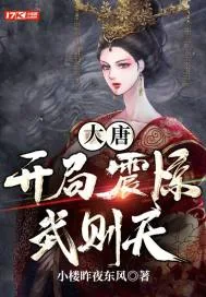 《大唐：开局震惊武则天》封面