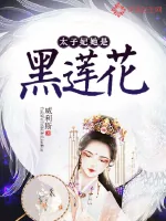 《太子妃她是黑莲花》小说封面