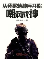 《从我是特种兵开始嘲讽成神》封面