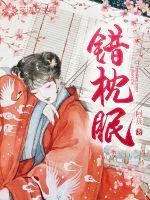 《错枕眠》封面