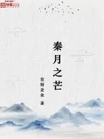 《秦月之芒》封面