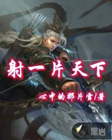 《射一片天下》封面