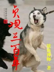 《贞观三百年》小说封面