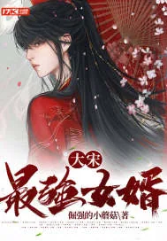 《大宋最强女婿》封面