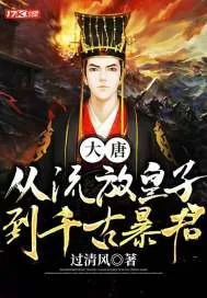 《大唐：从流放皇子到千古暴君》小说封面