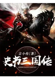 《史书三国传》小说封面