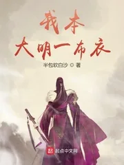 《我本大明一布衣》封面