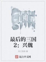 《最后的三国2：兴魏》封面