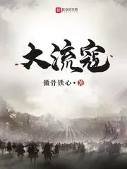 《大流寇》封面
