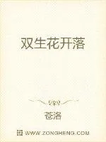 《双生花开落》小说封面
