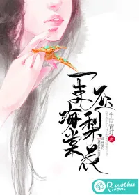 《一束海棠压梨花》封面