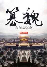 《篡魏》封面