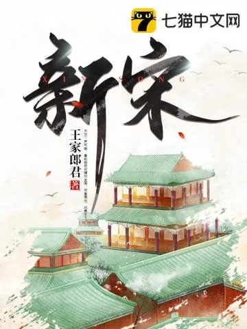 《新宋》封面