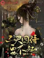 《三夫四侍要不起》封面