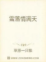 《雪落情满天》小说封面