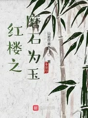 《红楼之磨石为玉》封面