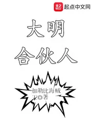 《大明合伙人》封面
