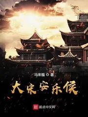 《大宋安乐侯》封面