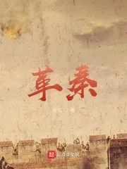《革秦》封面