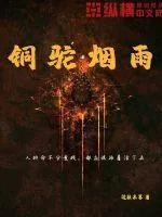 《铜驼烟雨》封面