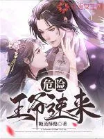 《危险，王爷速来》封面