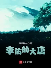 《李佑的大唐》封面