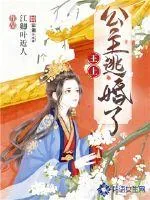 《王上，公主逃婚了》小说封面