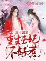 《废王霸宠：重生王妃不好惹》封面