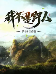 《我不是野人》小说封面