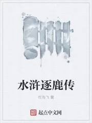 《水浒逐鹿传》封面