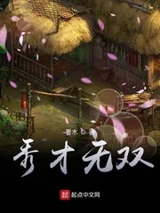 《秀才无双》封面