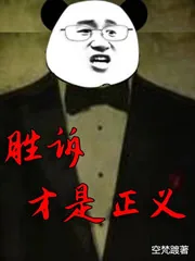 《胜诉才是正义》封面