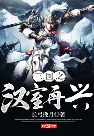 《三国之汉室再兴》封面
