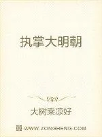 《执掌大明朝》封面