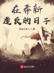 《在莽新造反的日子》封面
