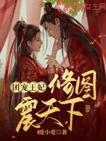 《团宠王妃修图震天下》封面
