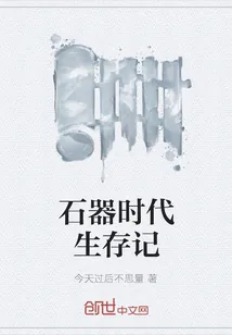 《石器时代生存记》封面