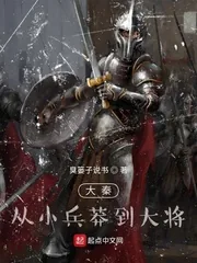 《大秦：从小兵莽到大将》封面