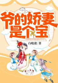 《爷的娇妻是个宝》封面