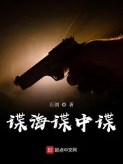 《谍海谍中谍》封面