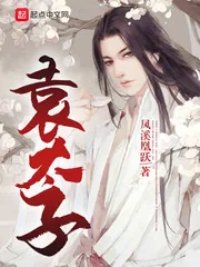 《袁太子》封面