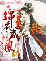 《锦衣成凰》封面